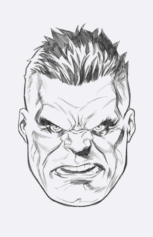 Incredible Hulk #10 Mark Brooks Headshot Full Art Sketch Variant